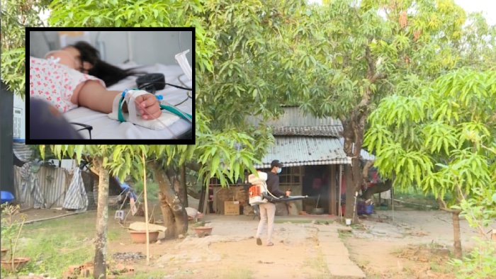 Strengthening prevention and control of dengue fever epidemics in Can Tho, ensuring adequate treatment drugs