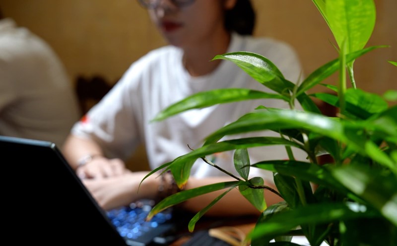 Many young students and workers hope to earn more income during the September 2 holiday but have become victims of sophisticated seasonal recruitment tricks. Photo: Huyen Trang