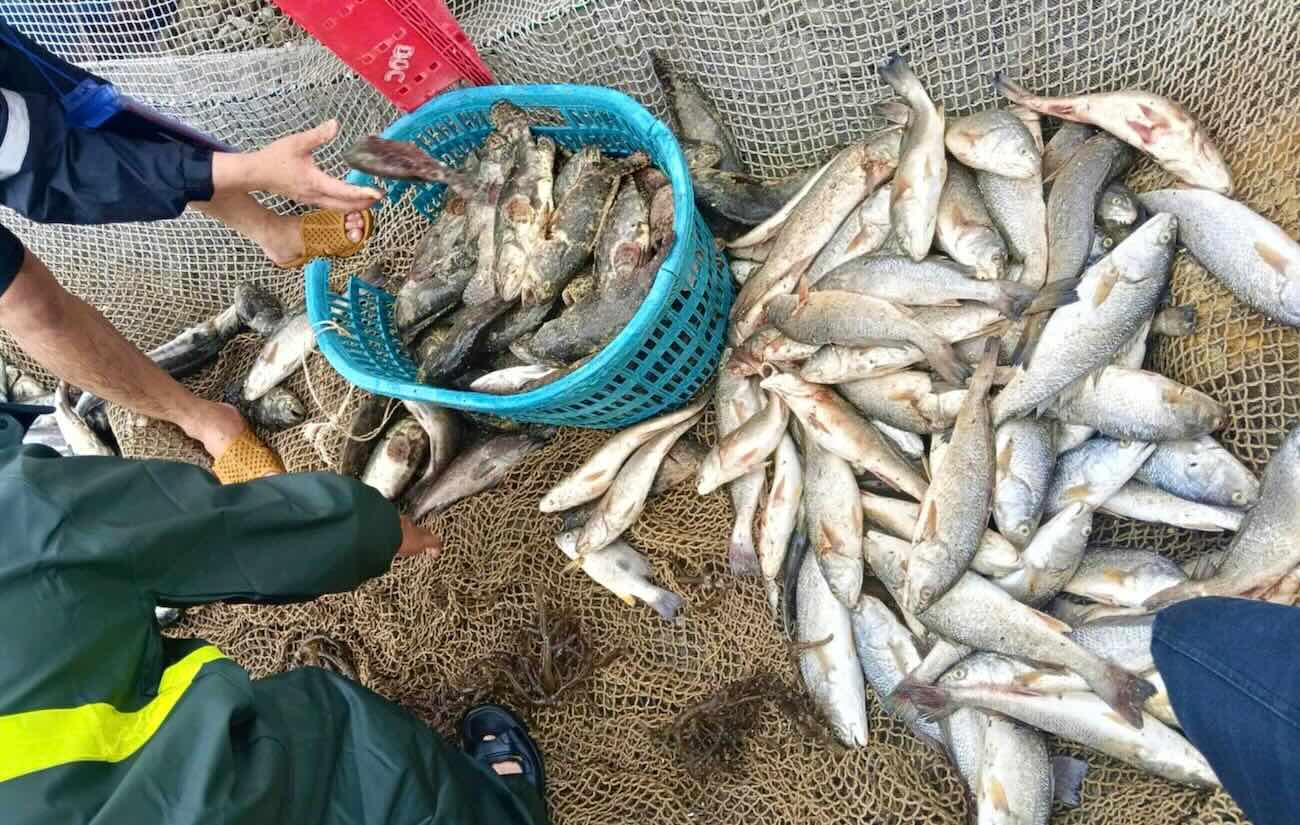 Ca chet, nguoi dan vot len bo. Anh: Hai Phuong