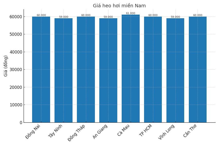 Gia heo hoi ngay 26.8 tai khu vuc mien Nam. Do hoa: Thuy Linh