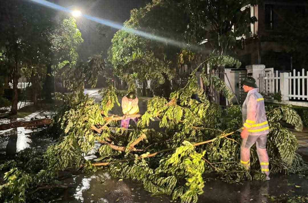 Hinh anh Cong an Ha Tinh trang dem cat don cay do sau bao so 5 de dam bao duong giao thong duoc thong suot. Anh: Cong an Ha Tinh.