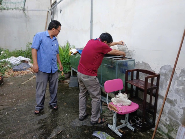 People and the health sector use lentils to prevent dengue fever. Photo: HCDC HCMC