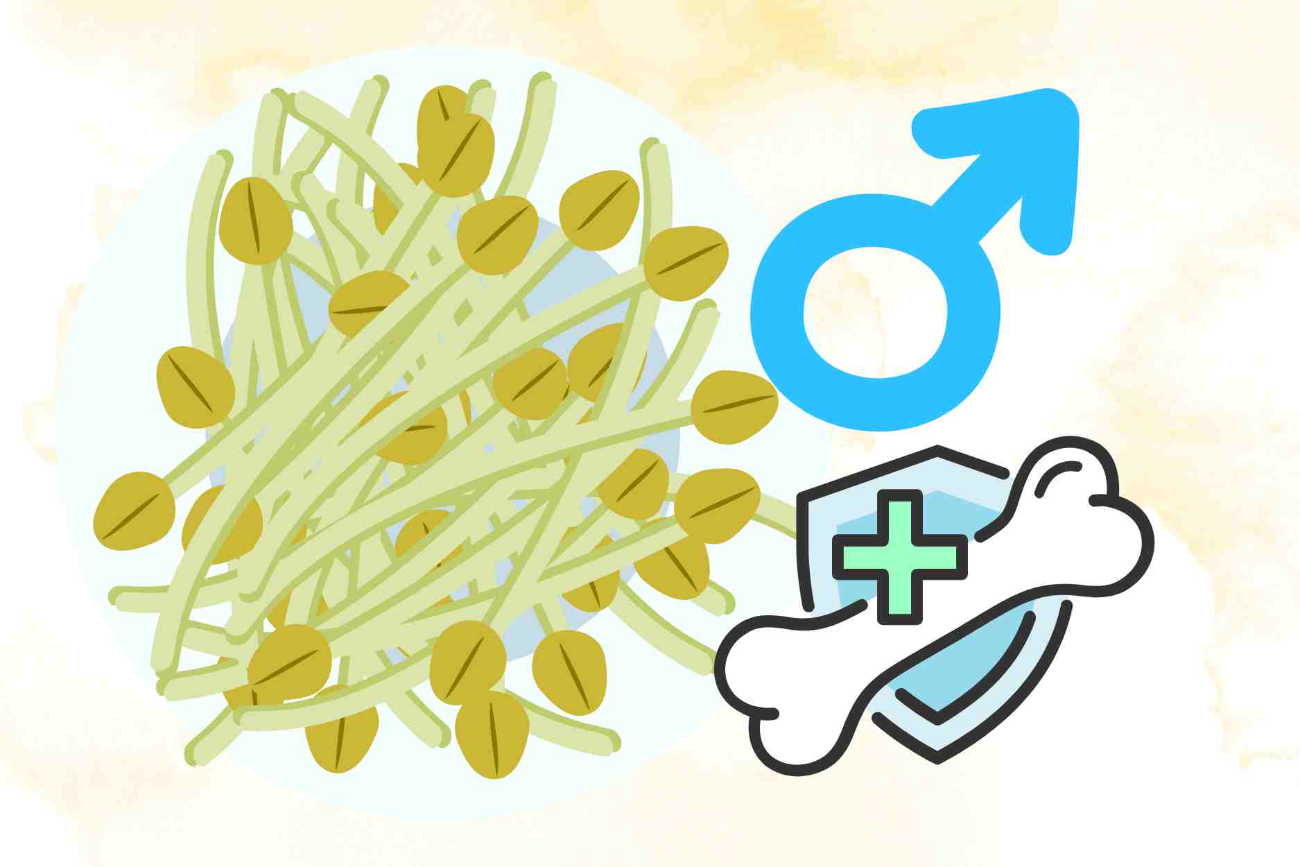 People's only sprout seeds have dual effects on bones, joints and male vitality