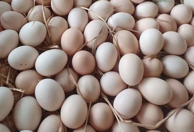 Eggs are one of the protein supplements that are good for muscles. Photo: Kieu Vu
