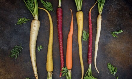 Foods, vegetables, orange fruits, and rich sources of vitamin A. Photo: Thuy Duong