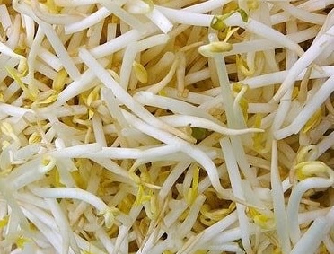 Bean sprouts are a vegetable that can help sleep. Photo: Kieu Vu