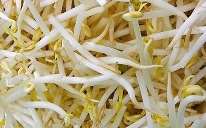 Bean sprouts are a vegetable that can help sleep. Photo: Kieu Vu