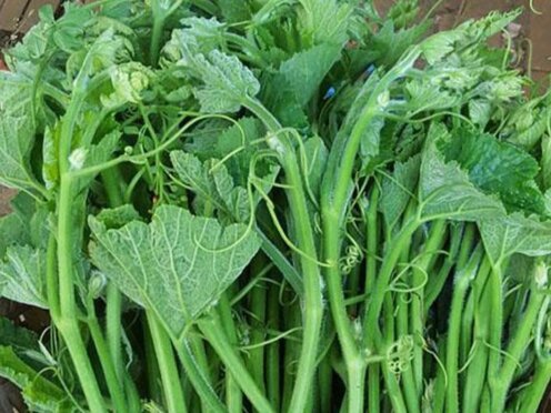 This is a vegetable that is said to nourish the liver and support detoxification. Photo: Kieu Vu
