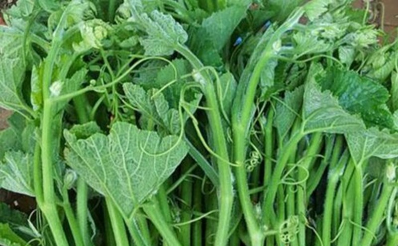 This is a vegetable that is said to nourish the liver and support detoxification. Photo: Kieu Vu