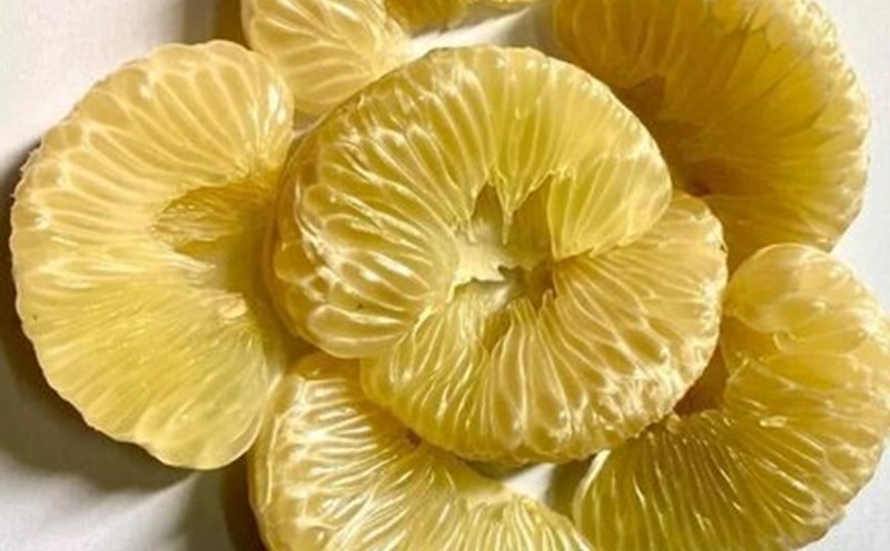 Southampton fruit is good for blood pressure. Photo: Kieu Vu