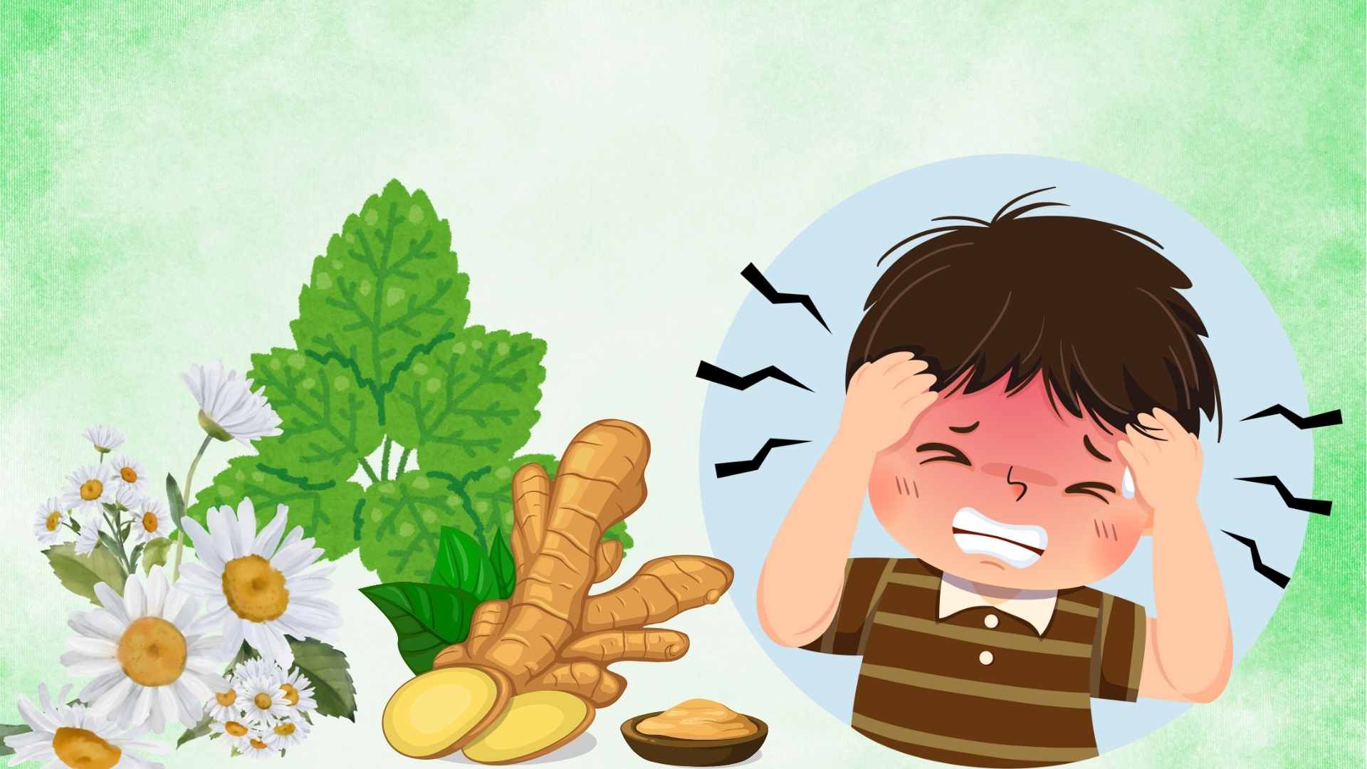 Some familiar herbs can help relieve headaches safely and effectively. Graphic photo: Hoang Loc