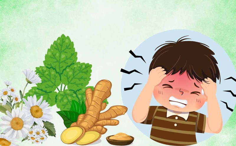 Some familiar herbs can help relieve headaches safely and effectively. Graphic photo: Hoang Loc