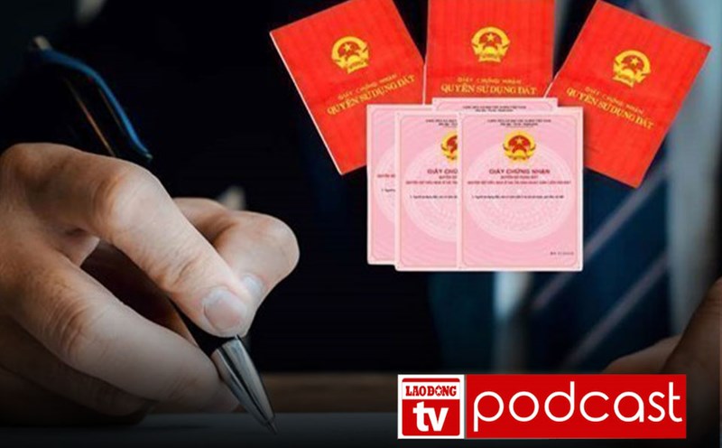 Morning news 28.8: Officials go to the village to help people prepare documents for granting red books