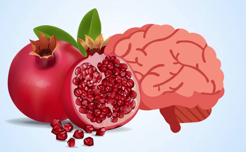 Benefits of pomegranate for brain health. Graphics: Thien Nhan