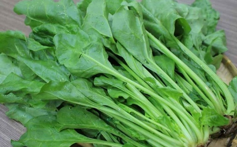 Spinach is a food that provides important nutrients. Photo: VFA