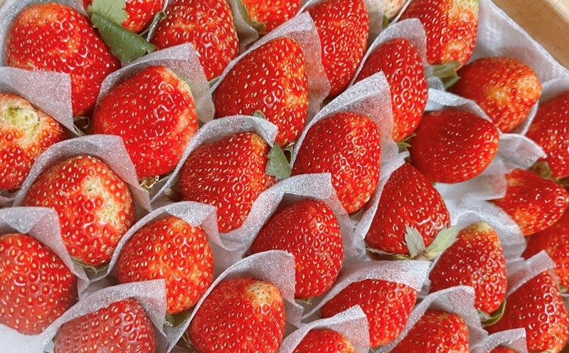 Eating strawberries helps reduce belly fat. Photo: Thanh Thanh