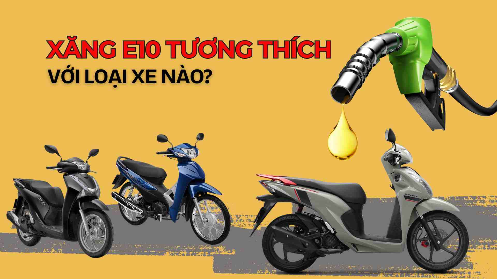 E10 휘발유와 차량의 호환성은 많은 사람들이 관심을 갖는 문제입니다. 그래픽: Thach Lam