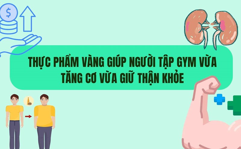New kidneys are better off thanks to the balanced diet of gym goers. Graphics: Huyen Trang