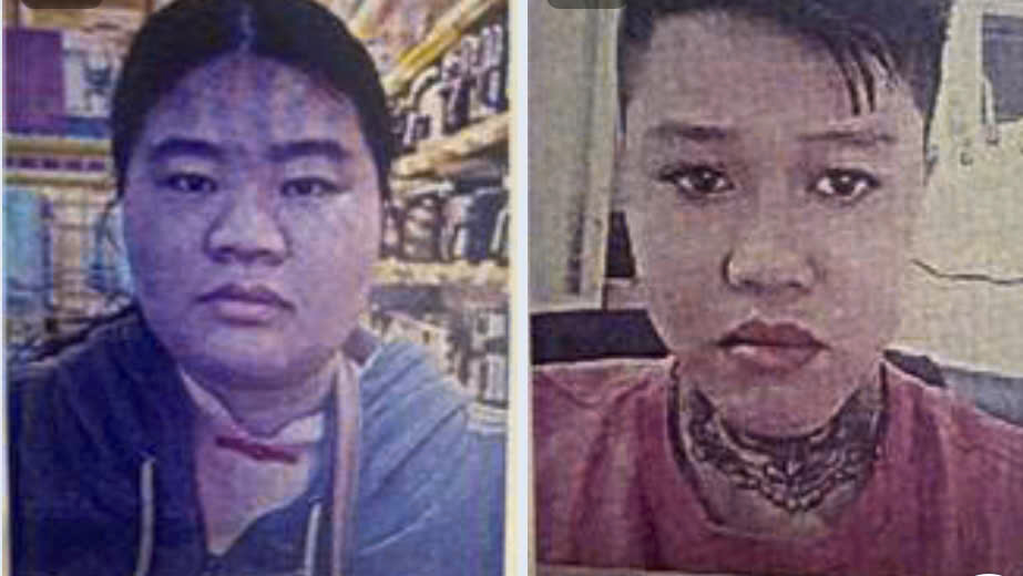 Cơ quan Cảnh sát điều tra Công an TPHCM hiện đang truy tìm Thúy (bên trái) và Ngân. Ảnh: Công an