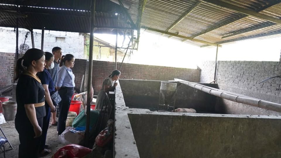 Luc luong chuyen mon kiem tra, pho bien kien thuc phong dich tai 1 ho chan nuoi. Anh: Phung Dao