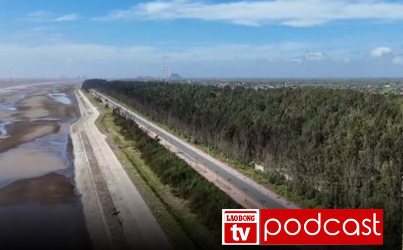 Morning news 8/29: Determined to complete the coastal road before 2030 in Vinh Long