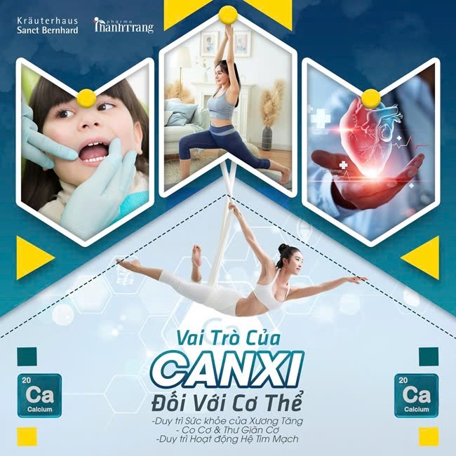  Vai tro cua canxi doi voi co the. Anh: Thanh Trang Pharma