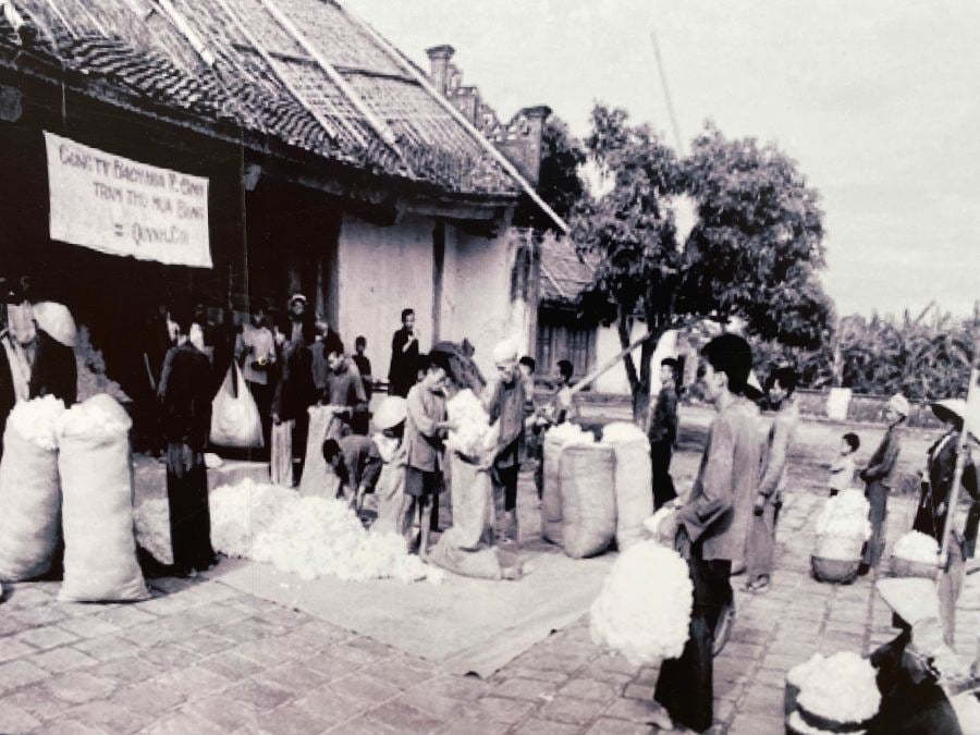 Hinh anh nay chup nam 1956 tai cua hang bach hoa Thai Binh, cua hang tien hanh thu mua bong cua ba con nong dan tai huyen Quynh Coi (cu) nay la xa Quynh Phu, tinh Hung Yen.