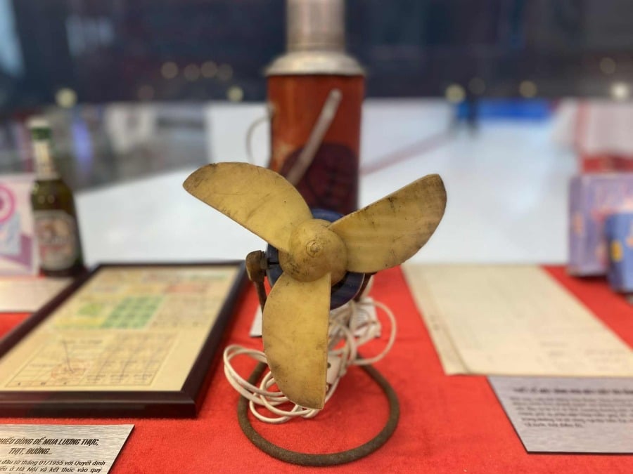Image of the insect fan at the National Achievements Exhibition. Photo: Mi Lan