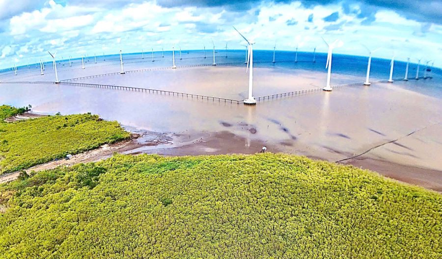 Eau eolienne au large de la province de Ca Mau. Photo : Pham Dong