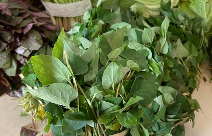 This... a bit difficult to eat vegetable can help you sleep well. Photo: Kieu Vu