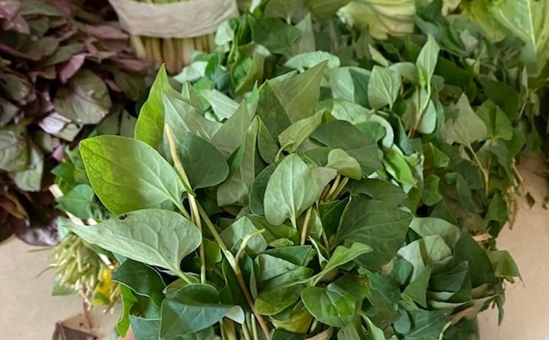 This... a bit difficult to eat vegetable can help you sleep well. Photo: Kieu Vu