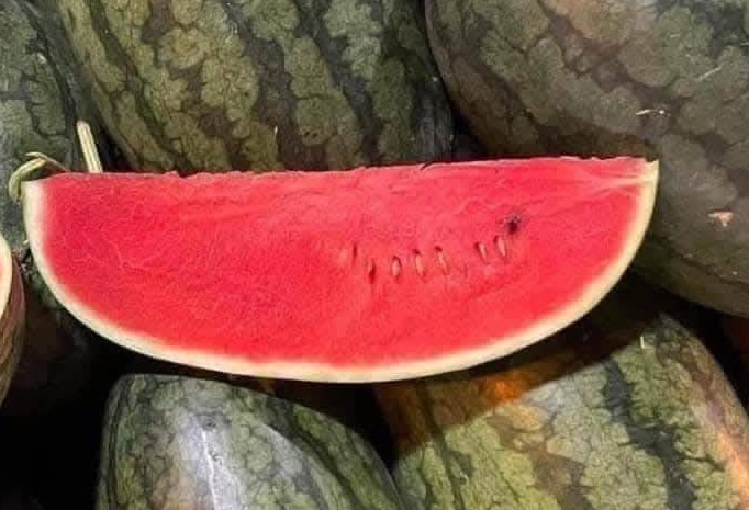 Few people expect watermelon to help increase muscle mass. Photo: Kieu Vu