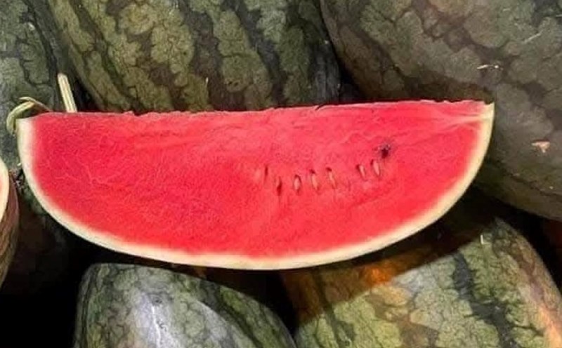 Few people expect watermelon to help increase muscle mass. Photo: Kieu Vu