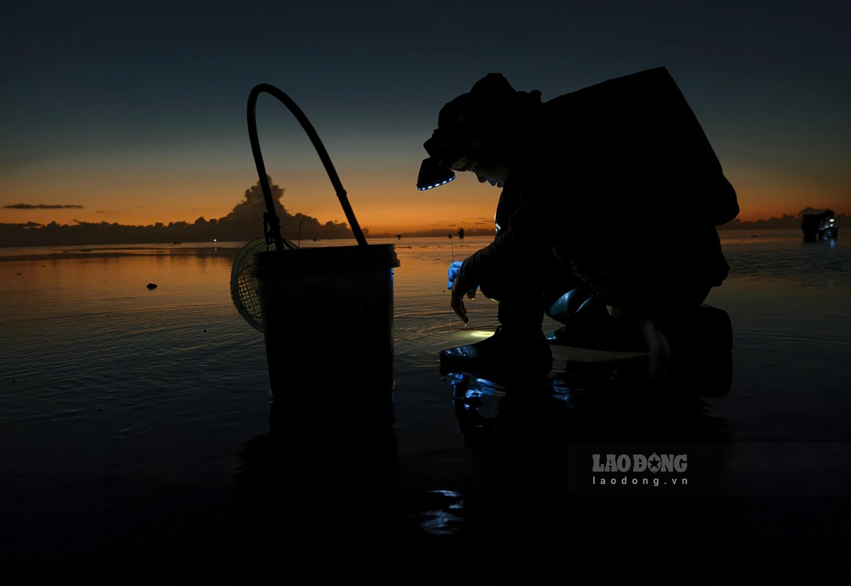 nail catching profession in the coastal commune of Hung Yen province. Photo: Trong Cung