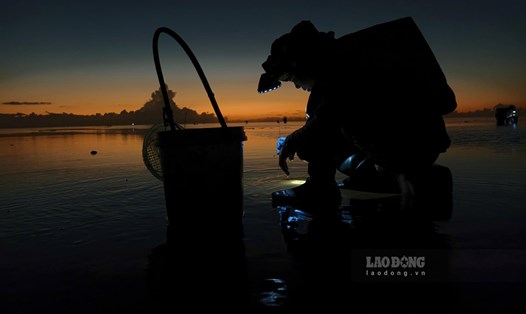 Nghề bắt ốc móng tay ở xã ven biển tỉnh Hưng Yên. Ảnh: Trọng Cung