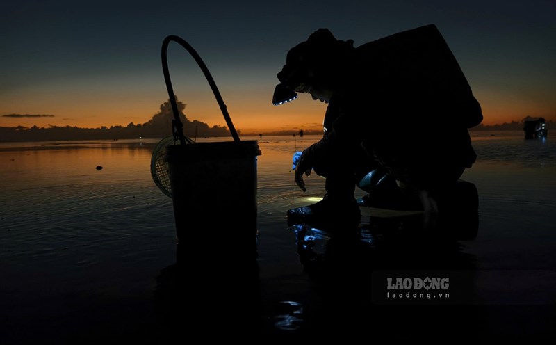 nail catching profession in the coastal commune of Hung Yen province. Photo: Trong Cung