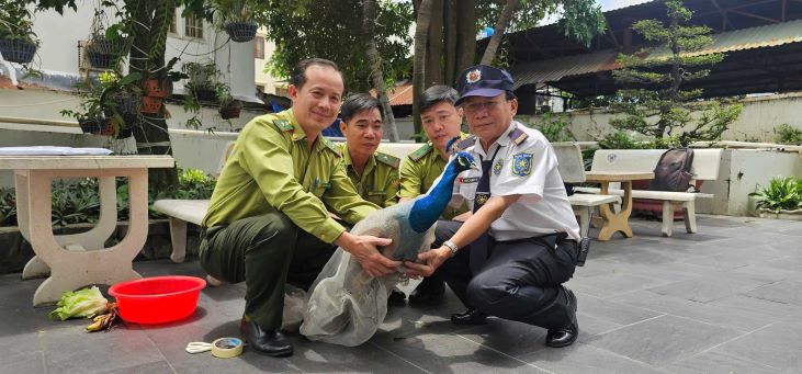 ホーチミン市森林保護区は、住民から希少な鳥を受け入れています。写真:Dong Hoang