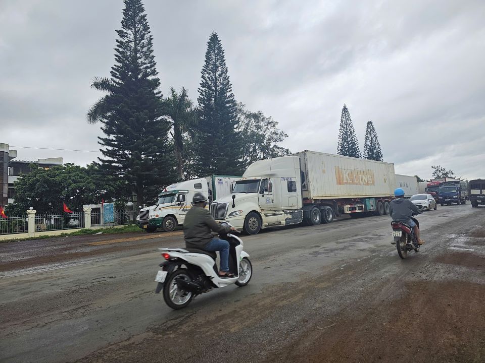 Container trucks waiting to transport durian on National Highway 26 through Dak Lak province. Photo: Thanh Quynh