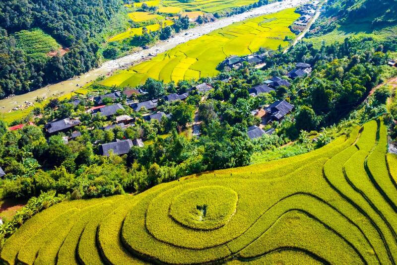 Ngoc Chien village is surrounded by golden ripe rice fields. Photo: Truong Son