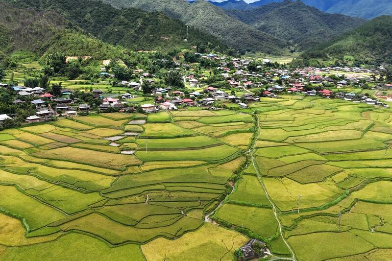 Nhung canh dong lua chin vang tai xa Ngoc Chien, tinh Son La. Anh: Truong Son