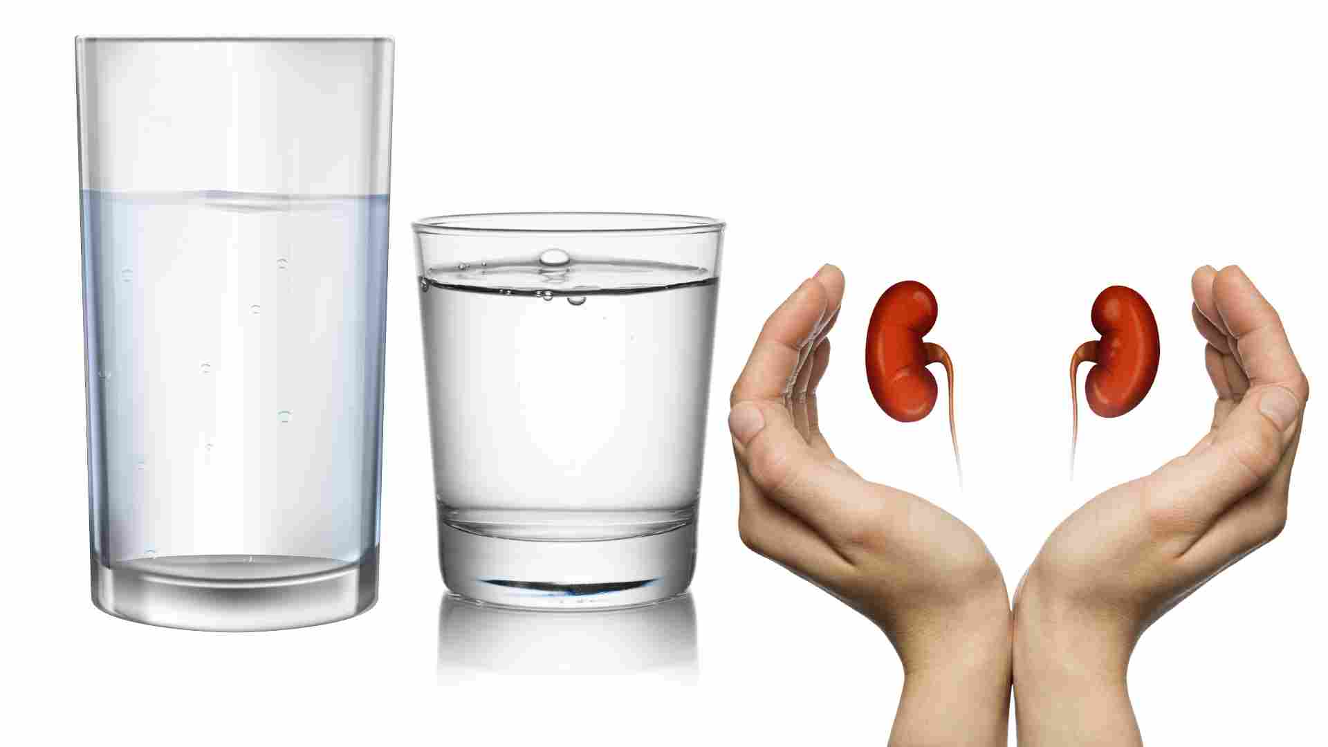 Drinking water properly is good for the kidneys. Graphics: Ha May