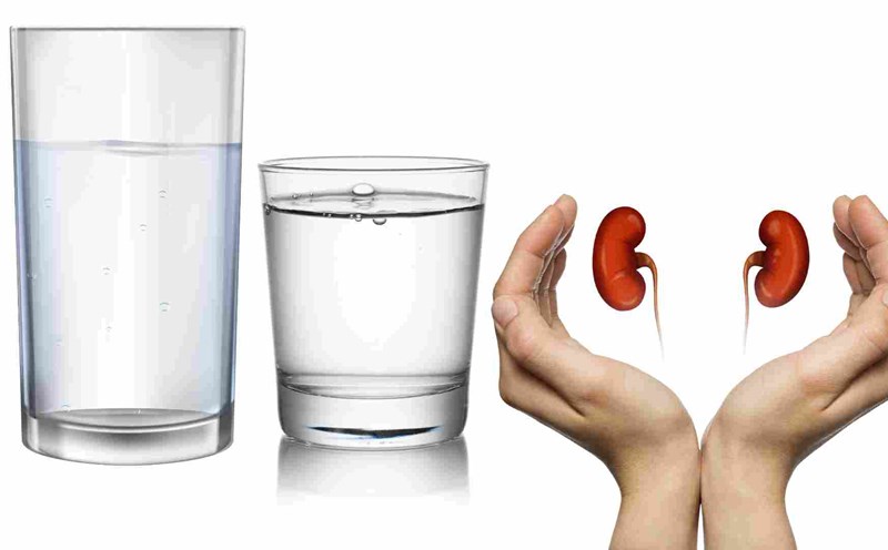Drinking water properly is good for the kidneys. Graphics: Ha May