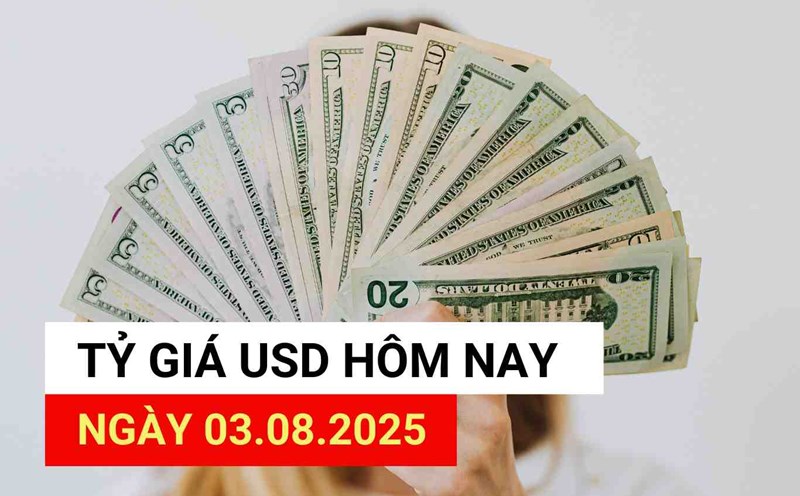 USD exchange rate today 3.8.2025.