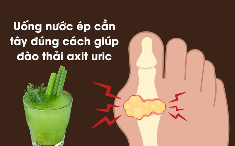 Celery juice is drunk properly to help eliminate uric acid. Graphic photo: Huong Son