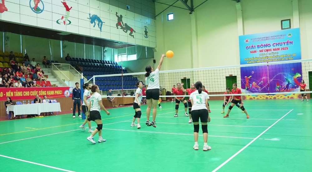 여자 선수들이 배구를 하고 있습니다. 사진: Cuong Pham