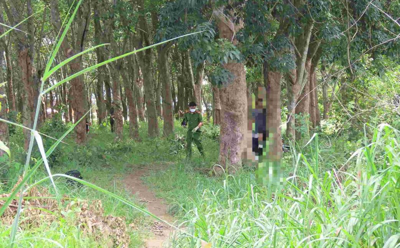 The police are examining the scene and investigating the case of a man who died in a rubber plantation. Photo: Dinh Trong