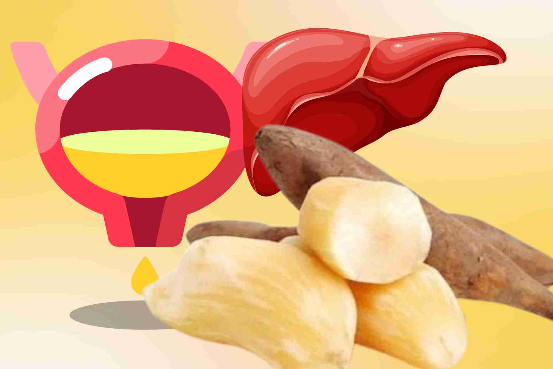 Ce legume rustique a manger correctement aide a favoriser l'urine a rafraîchir le foie et a stabiliser la glycemie