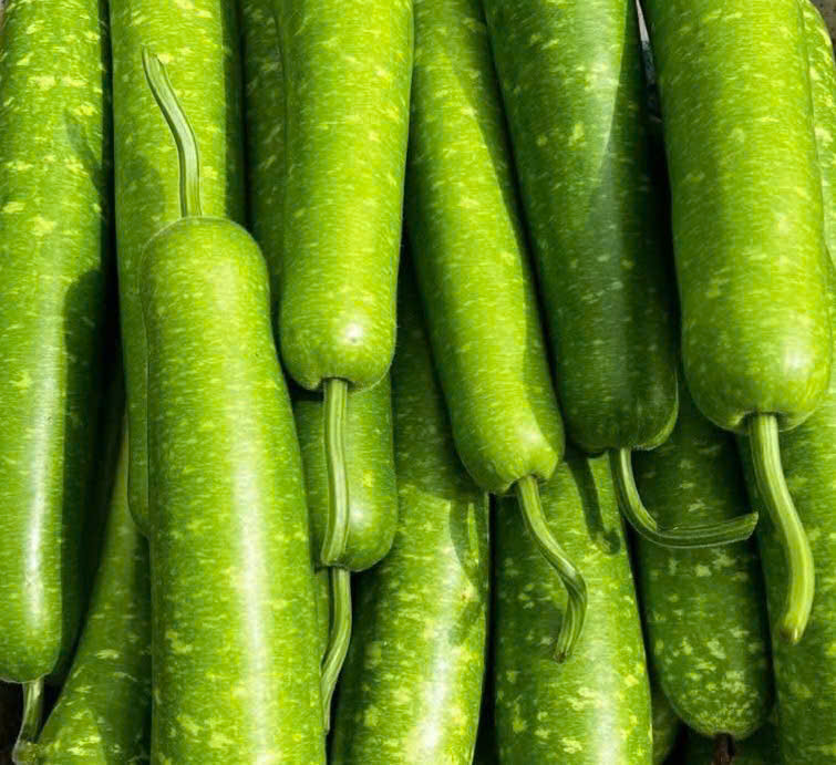 박으로 만든 담백한 음식을 유지하는 것은 신장 해독에 도움이 되는 자연스러운 해결책입니다. 사진: Quang Minh.