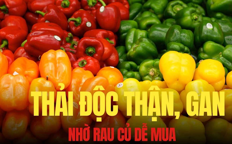Detoxify your kidneys by supplementing the right vegetables every day. Graphics: Tra My
