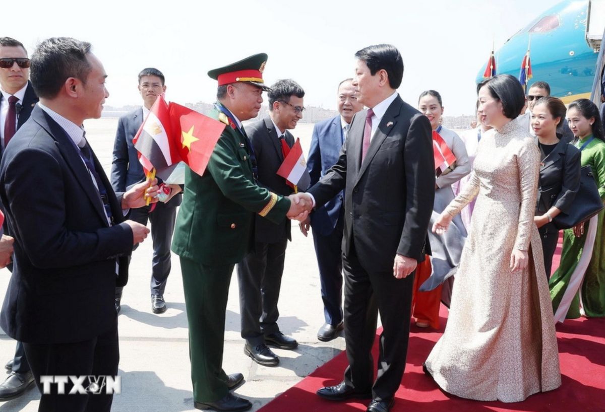 Dai bieu don Chu tich nuoc Luong Cuong va Phu nhan tai san bay quoc te Cairo, Ai Cap. Anh: TTXVN